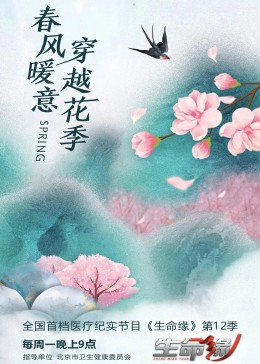 生命缘第12季