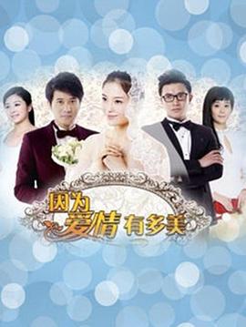 因为爱情有多美[DVD版]