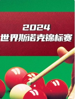 斯诺克国锦赛韦克林4-5丁俊晖20241110