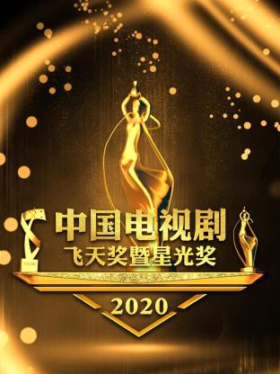 中国电视剧飞天奖暨星光奖2020